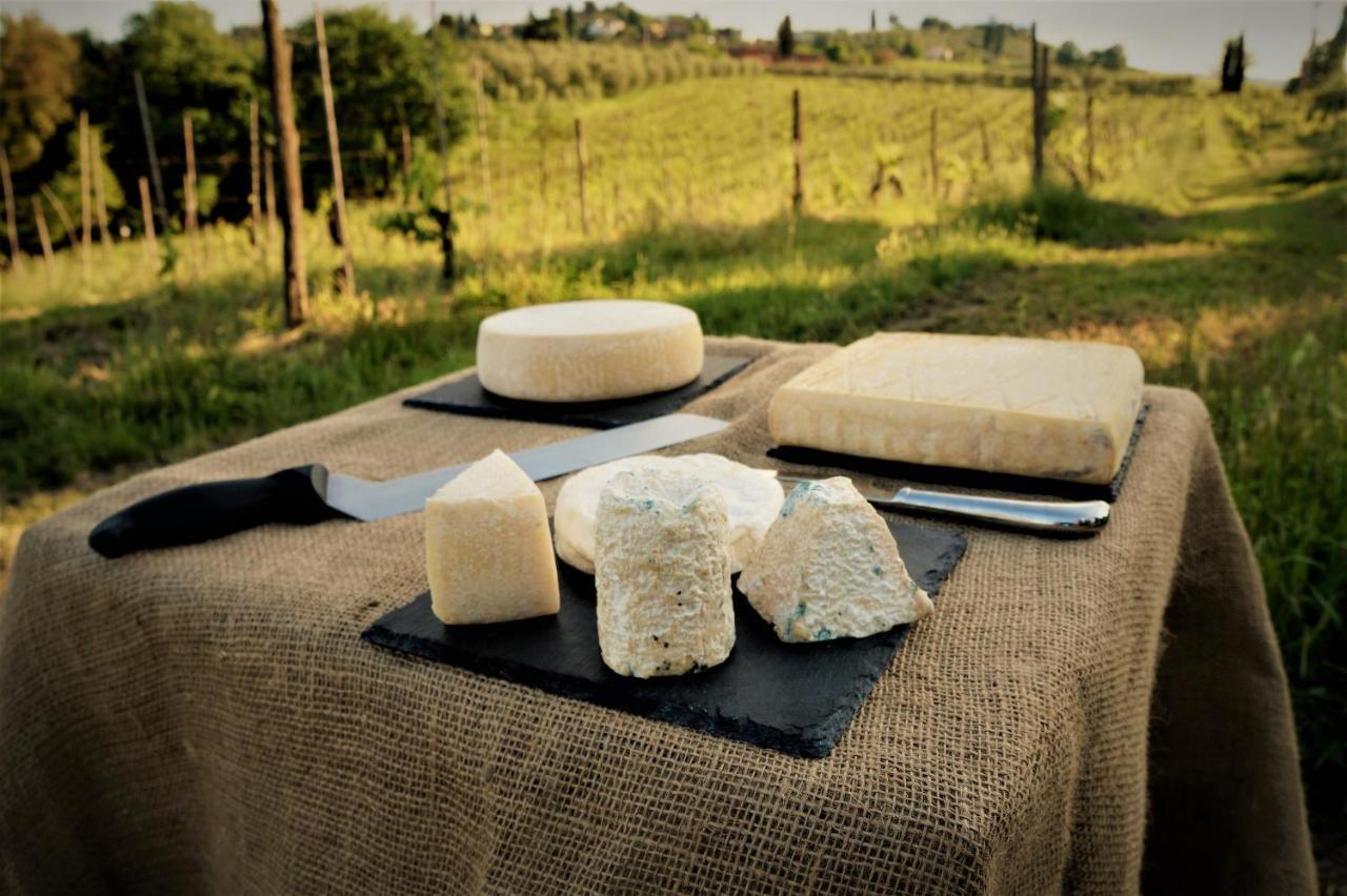 Agriturismo Fattoria Le Caprine Gambassi Terme Exteriér fotografie