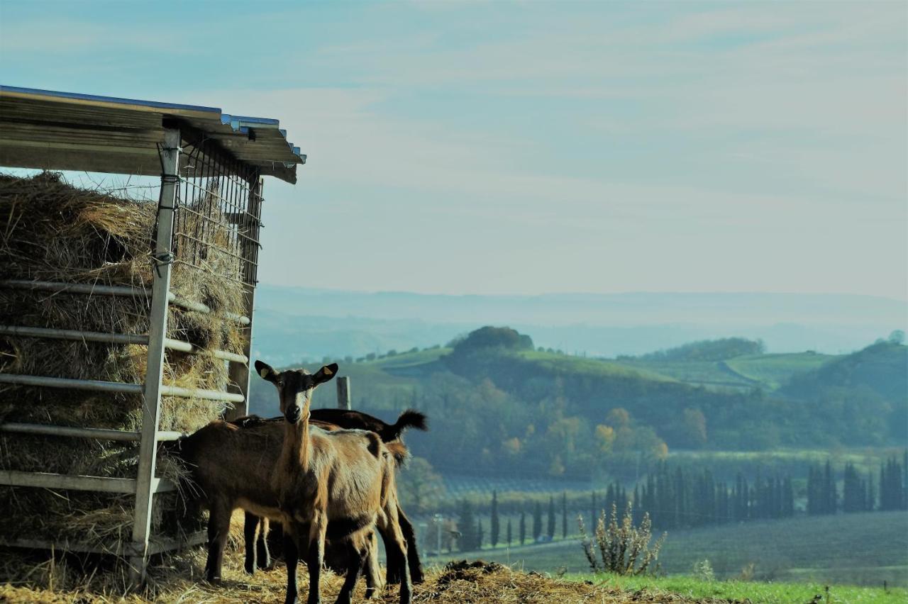 Agriturismo Fattoria Le Caprine Gambassi Terme Exteriér fotografie