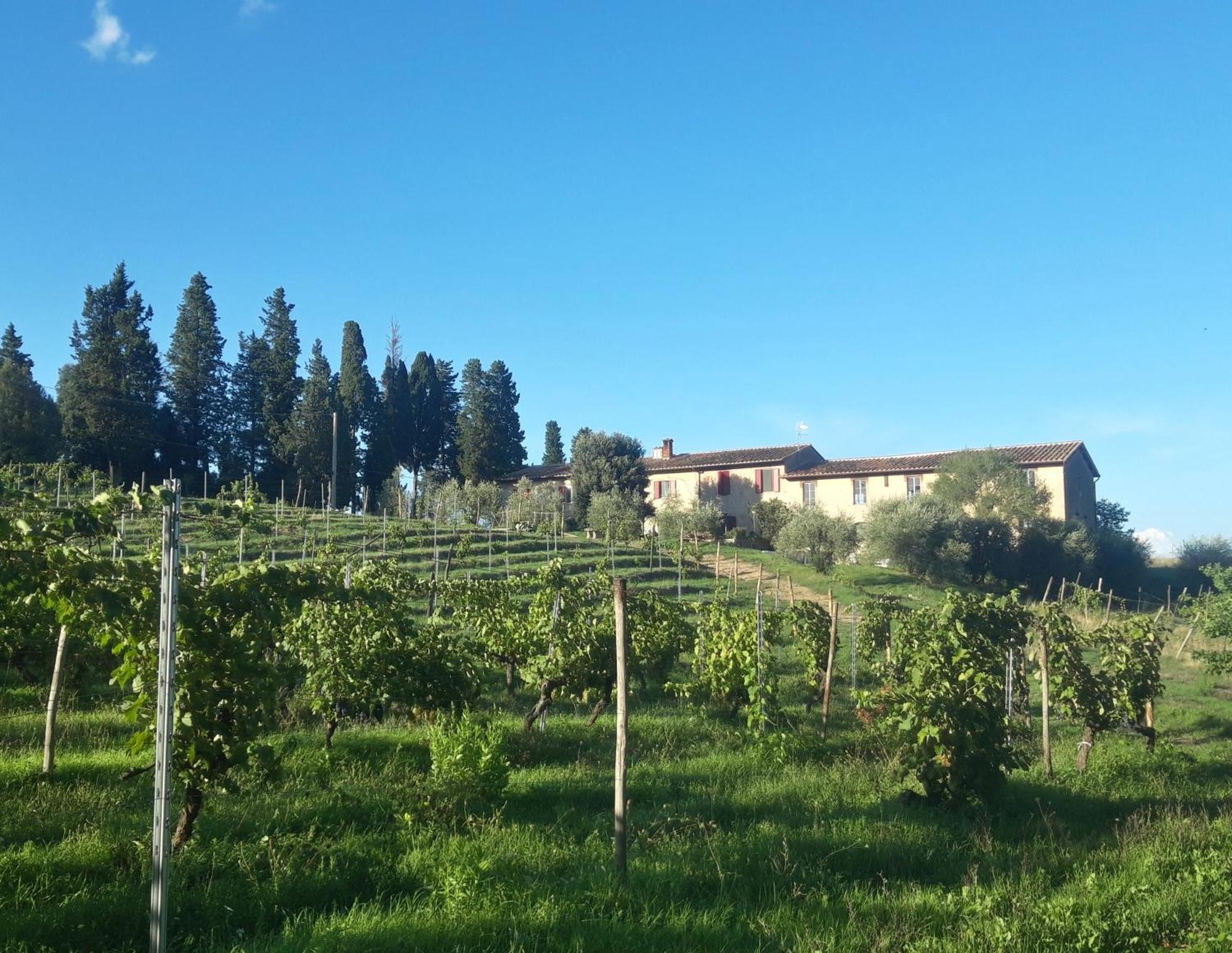 Agriturismo Fattoria Le Caprine Gambassi Terme Exteriér fotografie