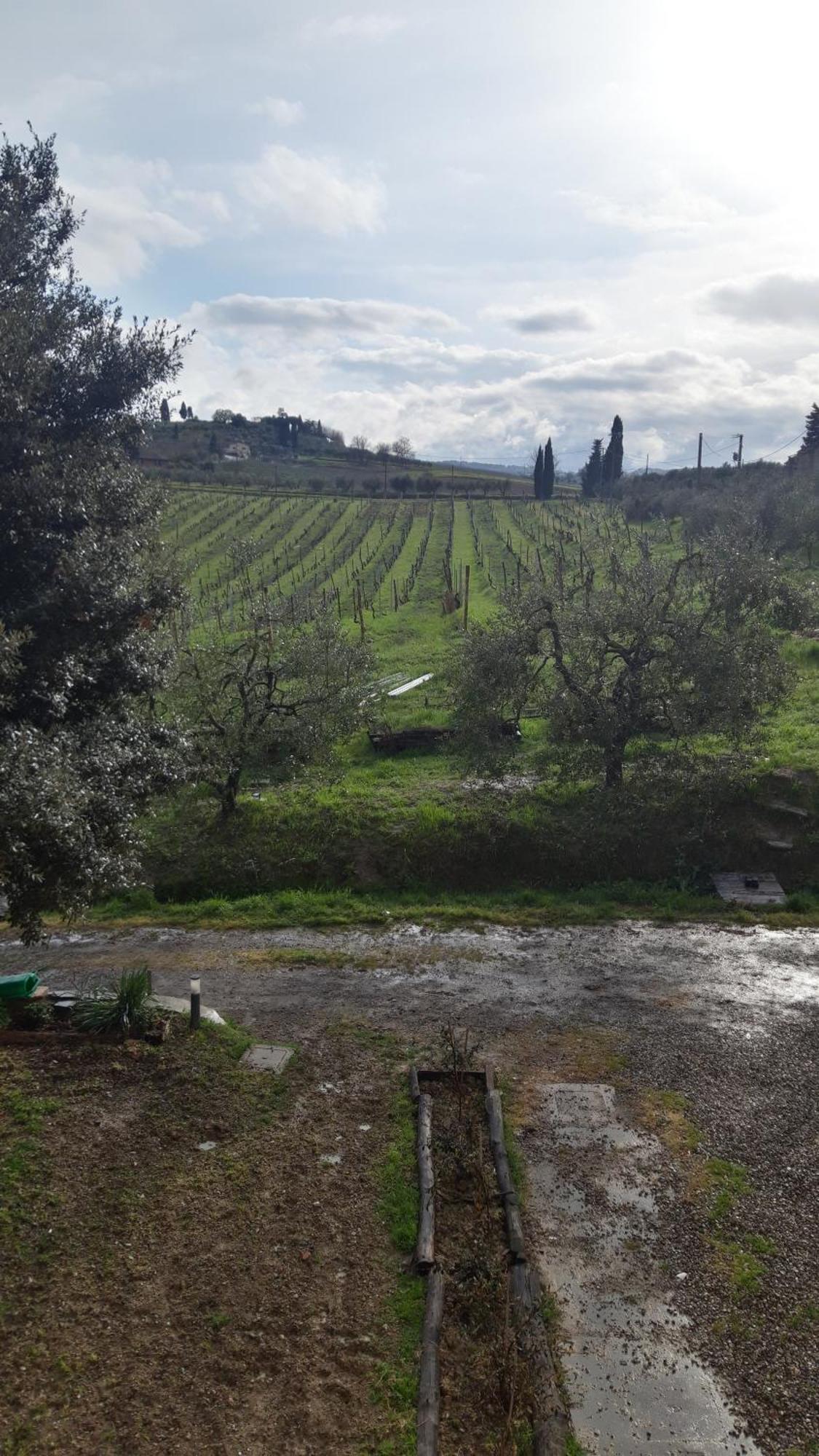 Agriturismo Fattoria Le Caprine Gambassi Terme Exteriér fotografie